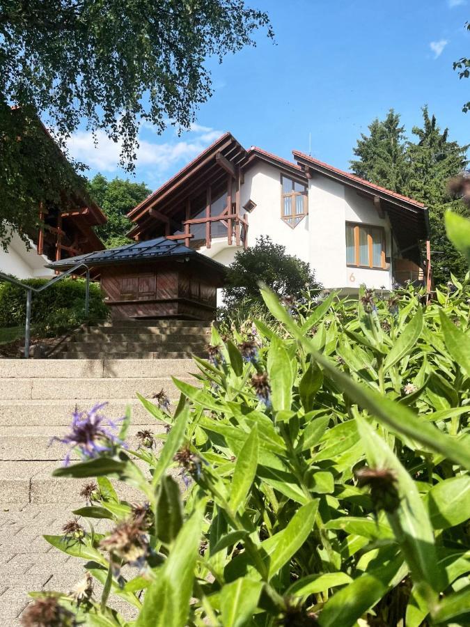 Viktor Apartment - Titisee Schwarzwald Exterior foto